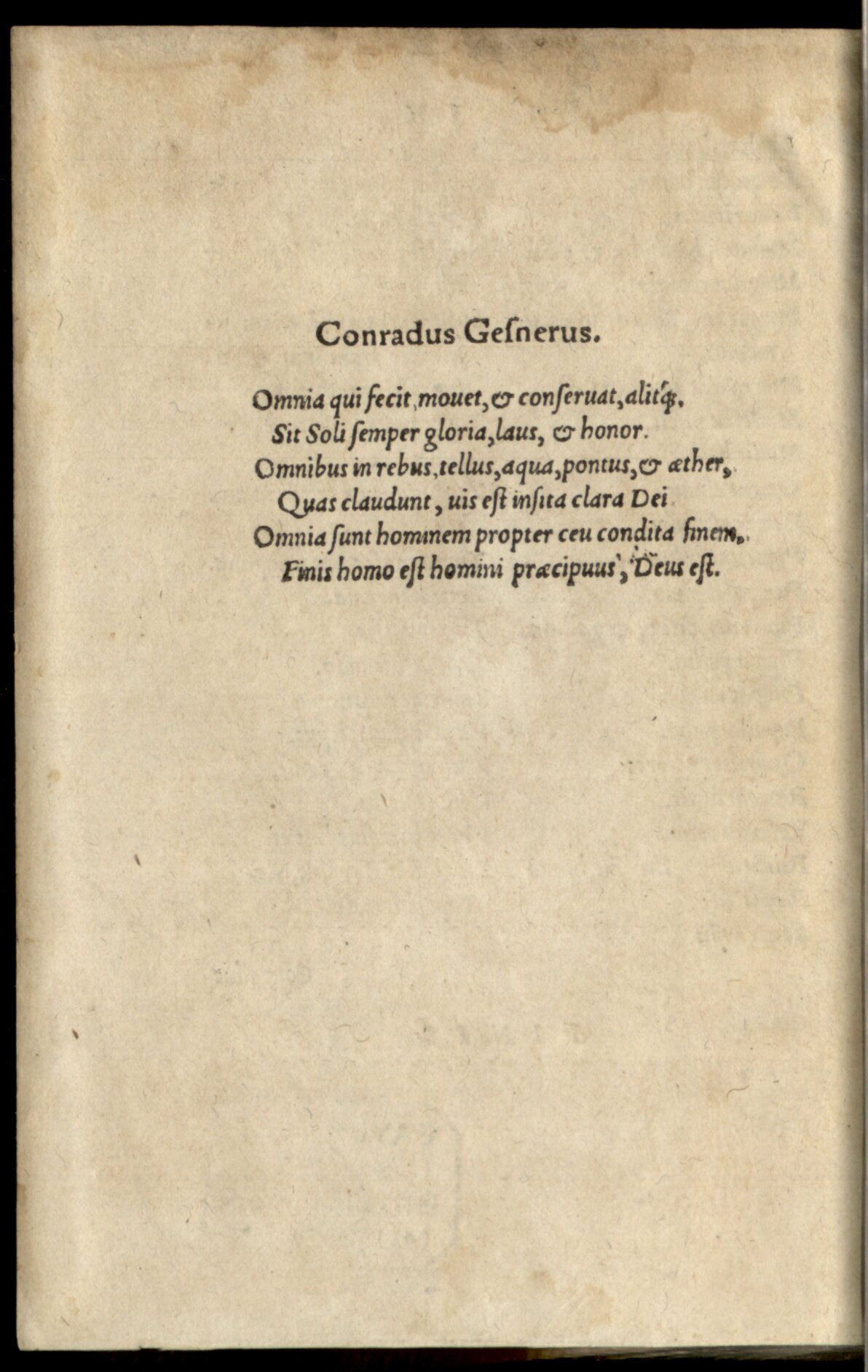 Cousin 1568