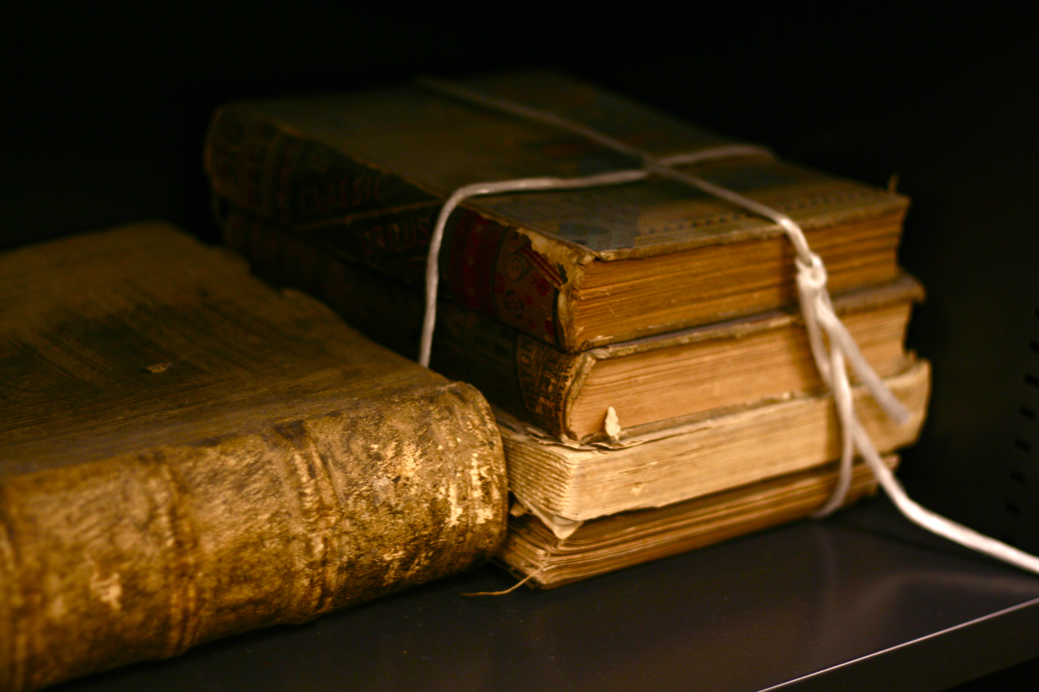 old_books_by_bionicteaching_01_0.jpg